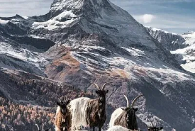 ZERMATT