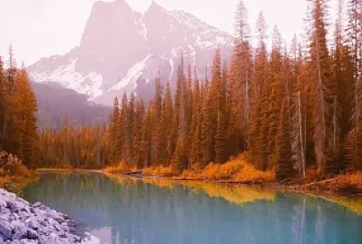 Lago boreal jigsaw puzzle