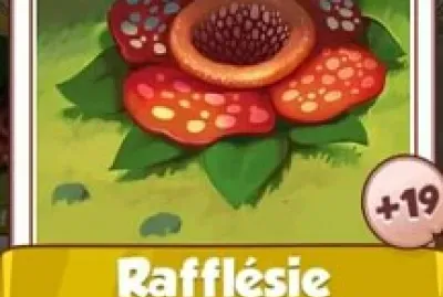 Coins master 1 11 20