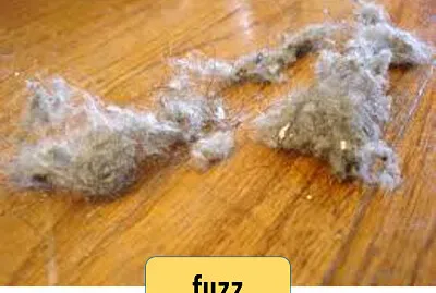 fuzz