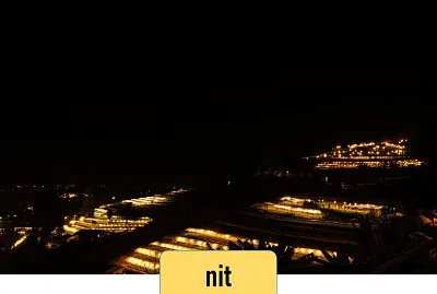 nit