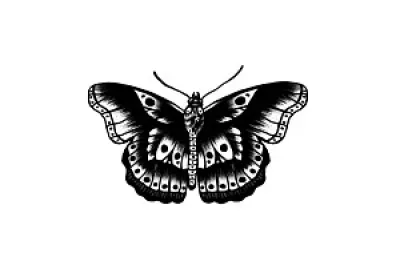 ×”××¨×™ ×¡×˜×™×™×œ×¡