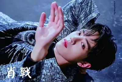 å¤§é™¸ç”·æ¼”å“¡ è‚–æˆ° jigsaw puzzle