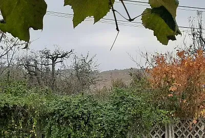 Toamna Ã®n grÄƒdina