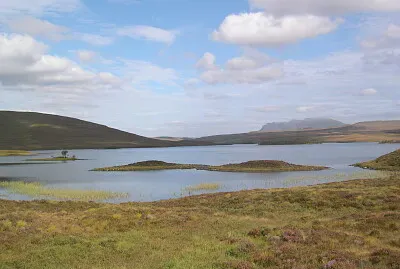 The flow country
