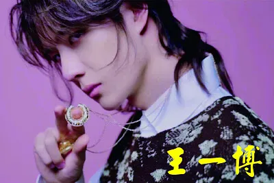 ä¸­åœ‹å¤§é™¸ç”·æ¼”å“¡ çŽ‹ä¸€åš jigsaw puzzle