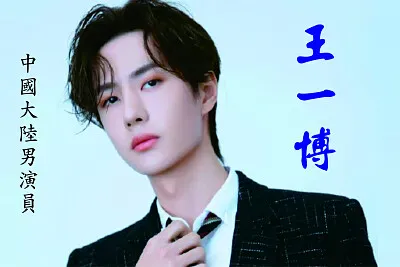 ä¸­åœ‹å¤§é™¸ç”·æ¼”å“¡ çŽ‹ä¸€åš jigsaw puzzle