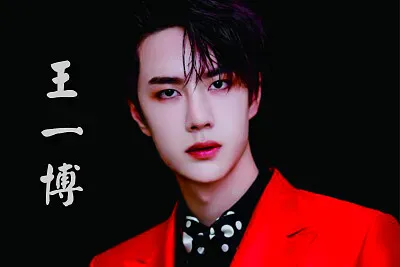 ä¸­åœ‹å¤§é™¸ç”·æ¼”å“¡ çŽ‹ä¸€åš jigsaw puzzle