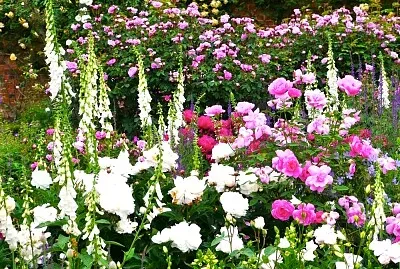 Mottisfons Angleterre
