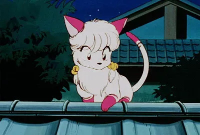 shampoo gatita ranma 1/2 jigsaw puzzle