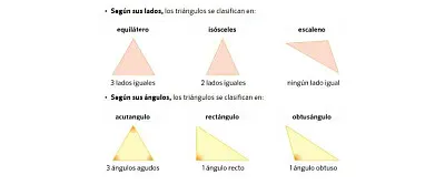 12 piezas