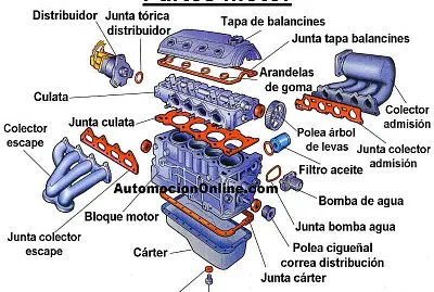 REPASO GRADO 8
