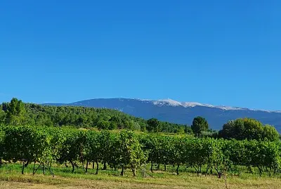 mont Ventoux