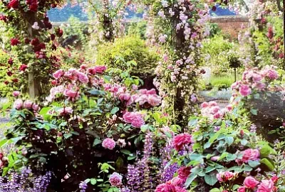 Mottisfons Angleterre