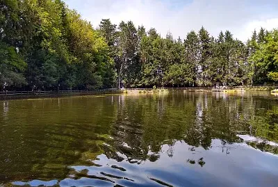 Lago