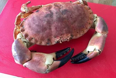פאזל של Giant Crab for Dinner