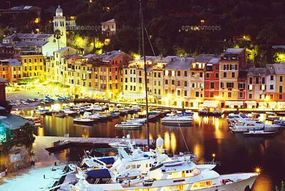 ×¤×•×¨×˜×•×¤×™× ×• ×œ×™×œ×™ 2