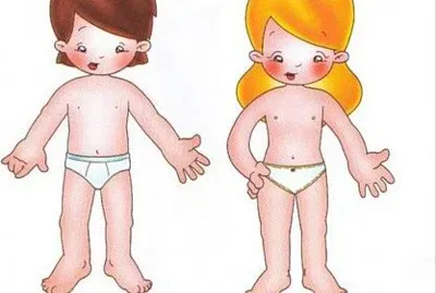 Cuerpo humano