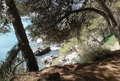 paysage