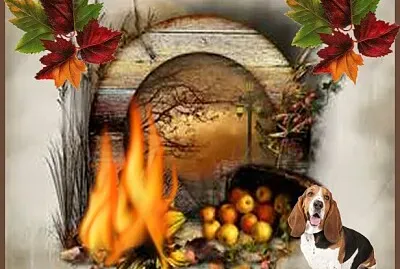 Bel automne jigsaw puzzle