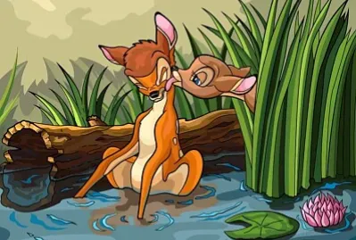 animales