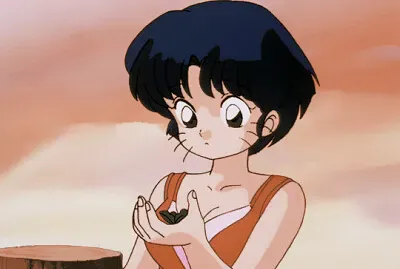 akane con bigotes ranma 1/2