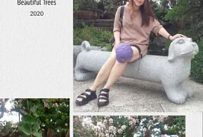 å¤§å­¸åŒå­¸