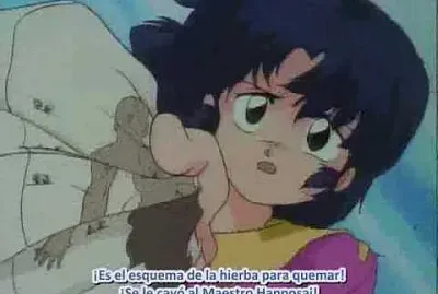 akane se sacrifica por ranma ranma 1/2