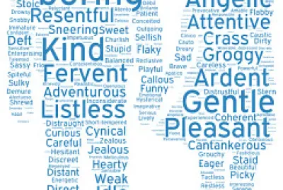 Adjectives in English