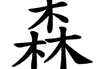 â€œæ£®â€æ‹¼å›¾