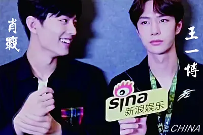 Xiao Zhan / Wang Yibo jigsaw puzzle