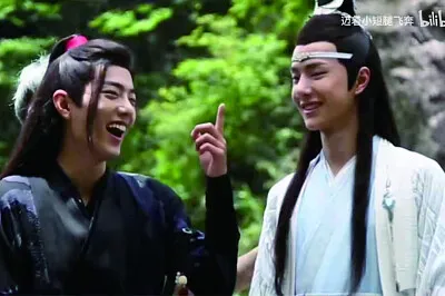 Xiao Zhan / Wang Yibo jigsaw puzzle