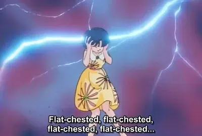 akane escucha mucho los insultos de ranma jigsaw puzzle