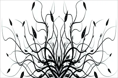 ç™½é»‘è¨­è¨ˆ