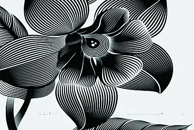 ç™½é»‘è¨­è¨ˆ