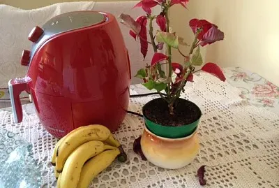decoraÃ§Ã£o