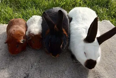 famille