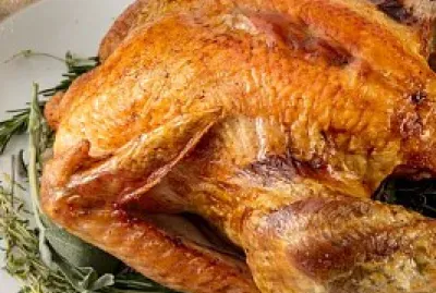thanksgiving turkey
