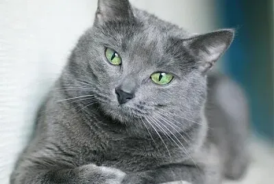 Miguel Ãngel Camacho