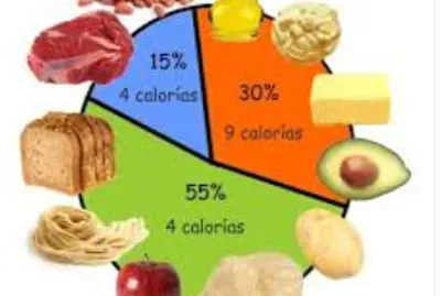 carbohidratos, lipidos y proteinas