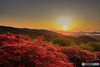 imagem jigsaw puzzle