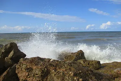 ×—×•×£ ×¨×™×“×™× ×’ ×ª×œ ××‘×™×‘