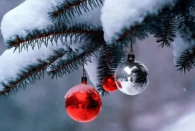 Natal