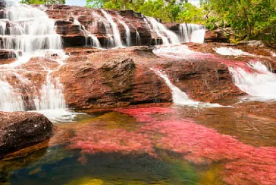 Descubran la imagen.