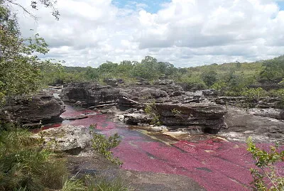 CaÃ±o Cristales3