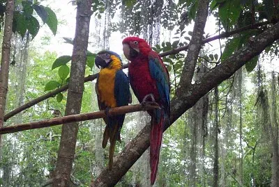 Mejores amigos