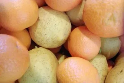 FRUTAS