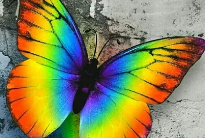 mariposa tricolor