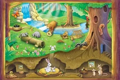 Prietenii mei aricii