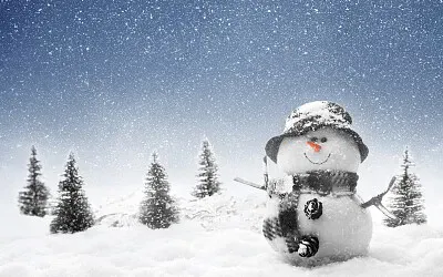 Bonhomme hiver jigsaw puzzle